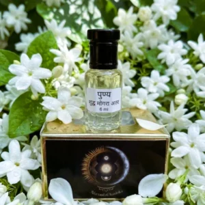 Punya Mogra